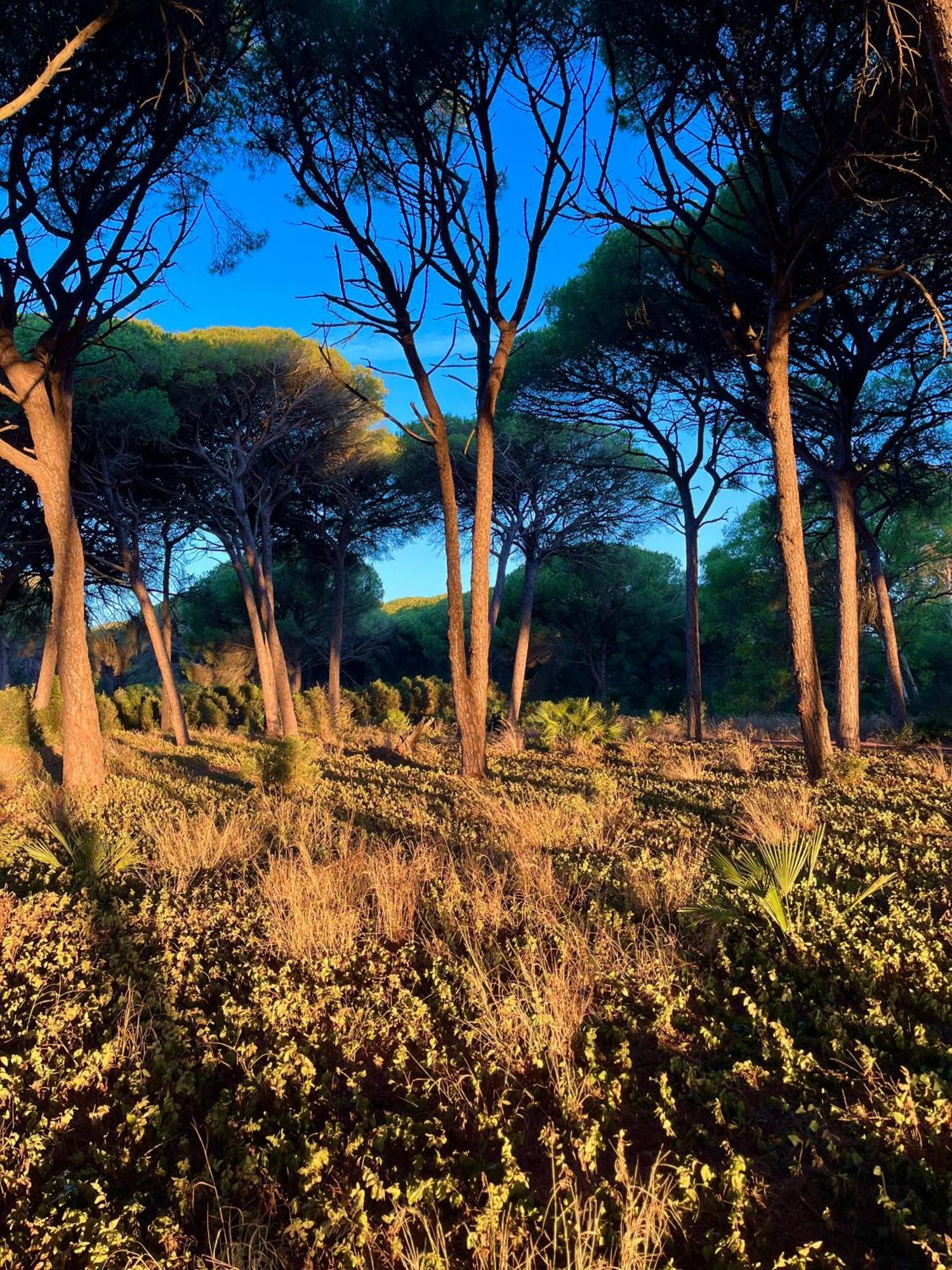 Los Candiles โกนิล เด ลาฟรอนเตรา ภายนอก รูปภาพ