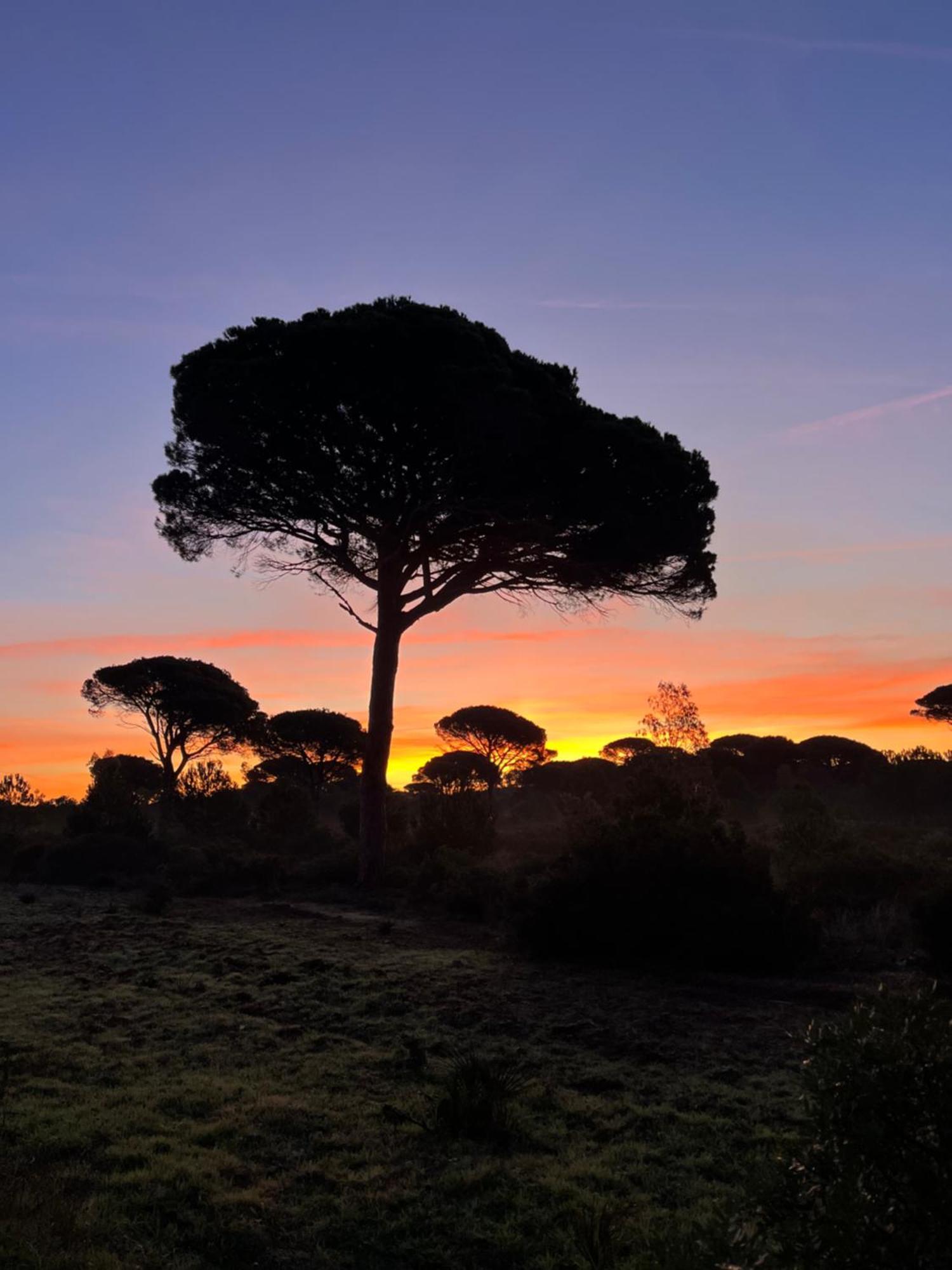Los Candiles โกนิล เด ลาฟรอนเตรา ภายนอก รูปภาพ